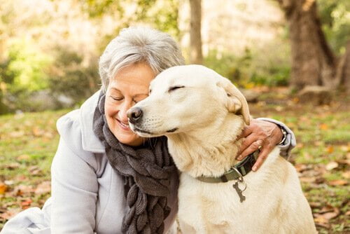 Convivência entre idosos e cães