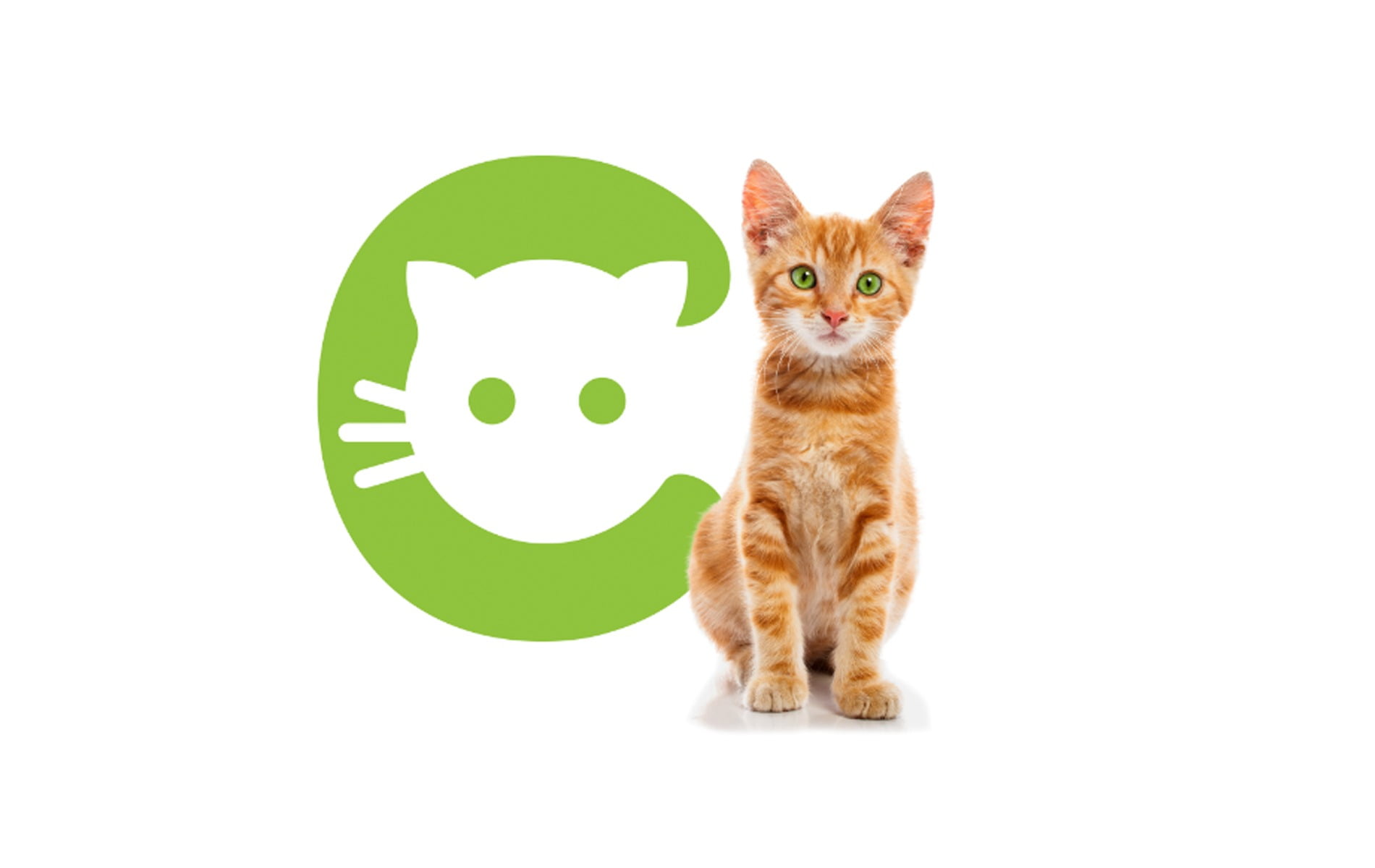 Cats Care Site 1